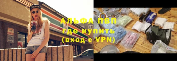 PSILOCYBIN Беломорск