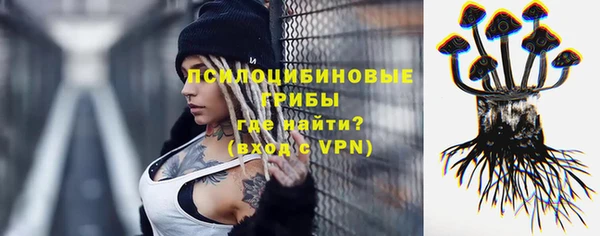 мдма Белокуриха
