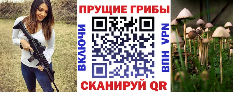 ОМГ ОМГ ТОР  Шенкурск  Псилоцибиновые грибы MAGIC MUSHROOMS 